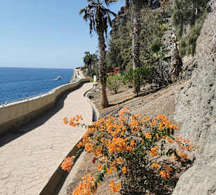Panoramaweg Hafen Puerto Rico - Strand Amadores