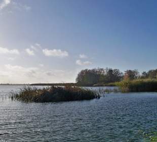 Nordufer am Kamper See