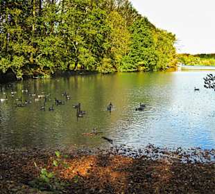 Парк Замка Ойтин.Золотая осень.