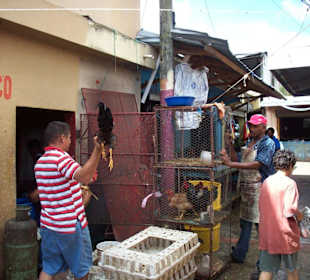 Truck Safari - Markt in Higüey