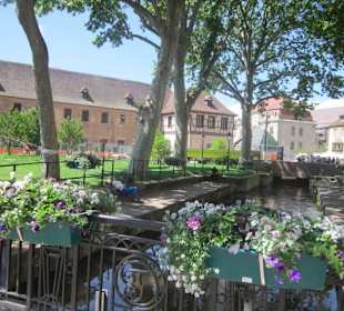 Altstadt Colmar Museum Unterlinden
