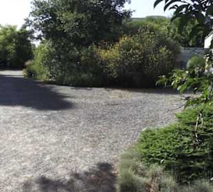 Botanischer Garten