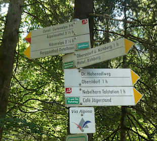 Bei einer Wanderung im Oytal bei Oberstdorf