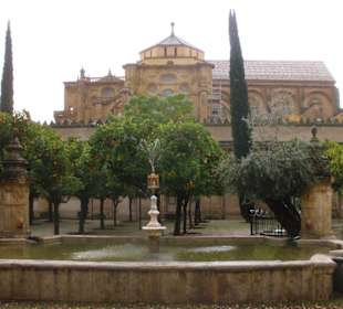 El patio de los naranjos