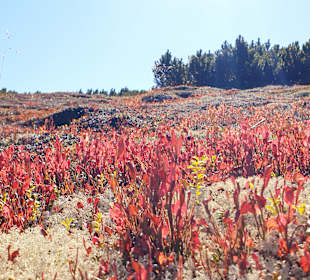Wandern St. Margarethen im Lungau