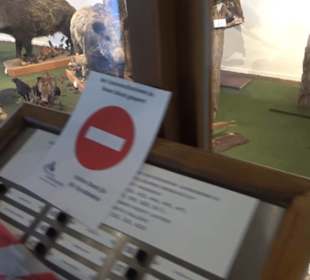 Natur- und Jagdmuseum