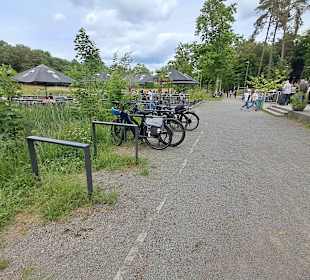 Seewoog in Ramstein-Miesenbach