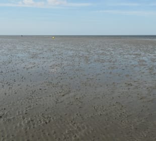 Wattenmeer-Wanderung an der Nordsee bei Cuxhaven