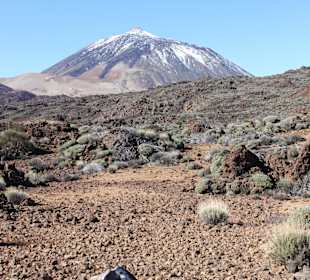 Blick auf den Teide in den Canadas