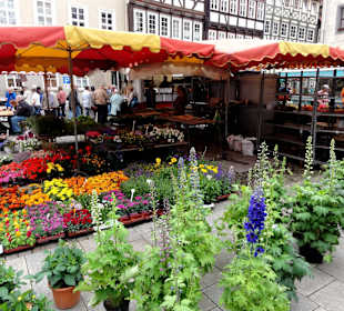 Impressionen vom Wochenmarkt in Hann. Münden