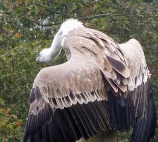 Müde nach der Anstrengung