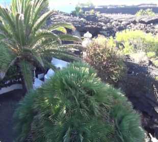 Fundacion Cesar Manrique