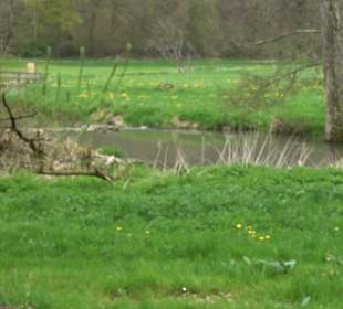 Eiszeitpfad - Burgfelsenpfad