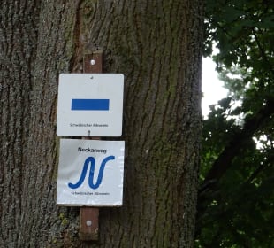 Im und ums Tapachtal