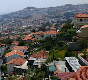Blick auf Funchal