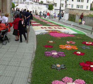 Alfombras florales Burela