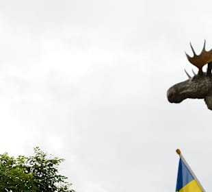 Elch und Schwedenfahne