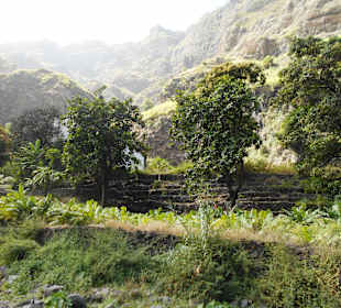 Cova-Ribeira da Torre-Paul Natural Park