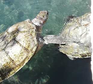 Freizeitpark Xcaret