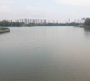 Jurong Lake und Gärten