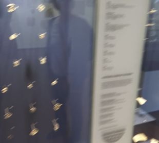 Rheinisches Landesmuseum