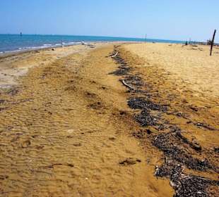 Am Strand entlang FKK