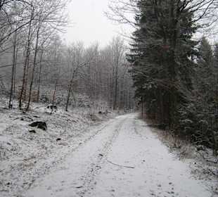 W drodzę na Ślężę