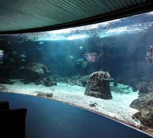 Panorama-Aquarium
