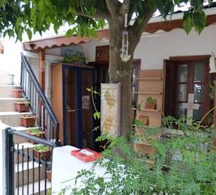 Ausflug in das Troodos Gebirge