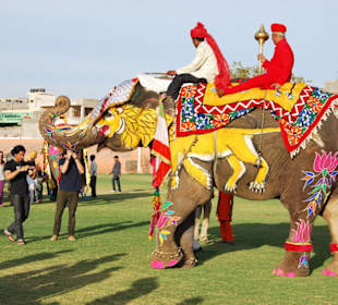 Elefant Festival in Jaipur