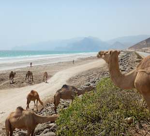 Strand Salalah