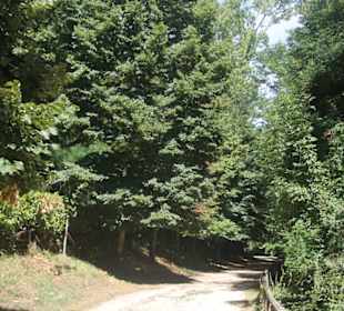 Wallfahrtskirche Santa Maria del Bosco