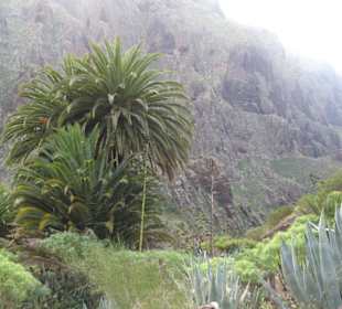 Masca Schlucht