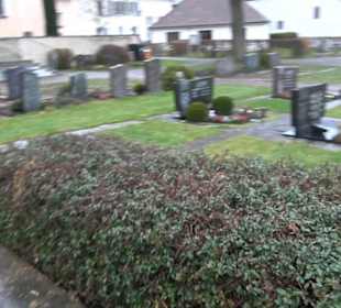 Friedhof Bremelau