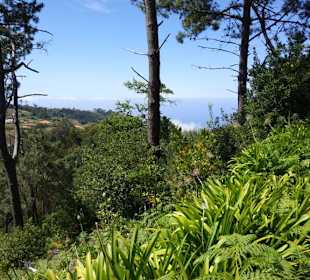 Madeira Wandern mit Christa
