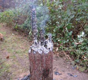 Waldbasar in Dudenhofen