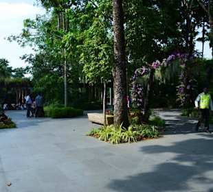 Singapur Zoo