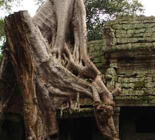 Angkor chramy