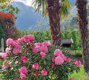 Wandern Algund Vellau