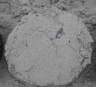 Strand Kolberg/Kolobrzeg