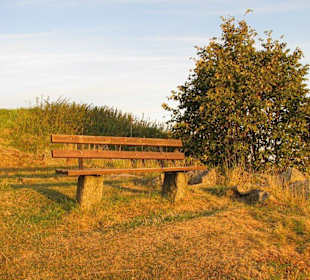 Ruhebank unterhalb der Ruine