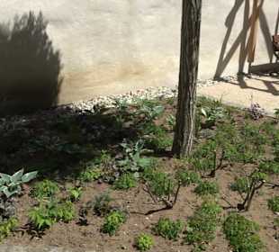 Rosengarten Nördlingen