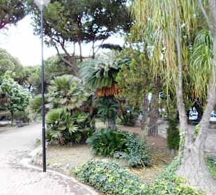 Park der Villa Mazzini