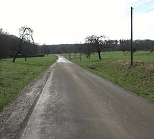Gomaringer Rundweg - Zu den Giganten im Wald