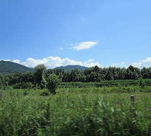 Valea Mureșului / Mureș-Tal 