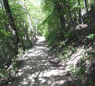 Burgruine Hohenstaufen