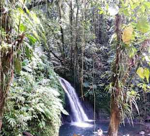 Bei den Wasserfällen
