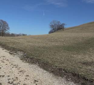 Naturschutzgebiet Meisenbühl