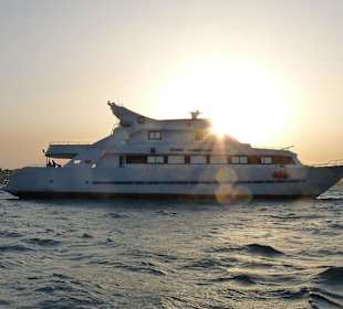 Charterboot für Schnorchelsafari