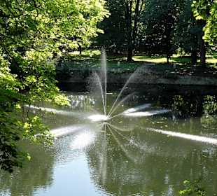Blick vom Wall auf den Schwänchenteich im Park